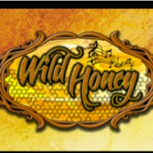 Wild Honey Band